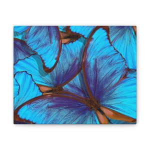 Blue Butterfly Canvas Wall Art – Vibrant Tropical Nature Print